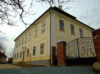 Tocht Te voet Bušovice - naučná stezka Kokotské rybníky - Photo