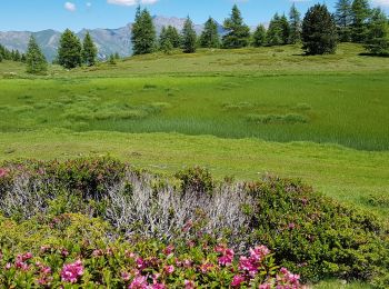 Randonnée Marche Seyne - 04 - près de Seyne-les-Alpes - le col bas et les 3 lacs - Photo