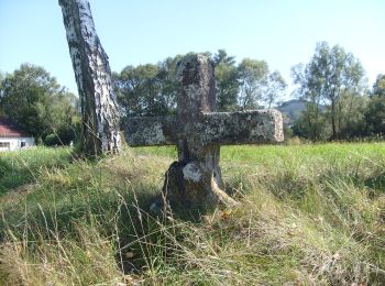 Tour Zu Fuß Bad Schönau - Großer Leitenviertelweg (E8) - Photo