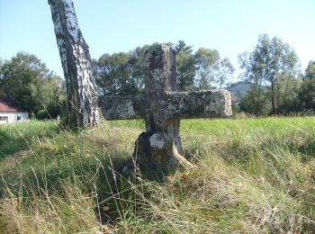 Randonnée A pied Bad Schönau - Großer Leitenviertelweg (E8) - Photo