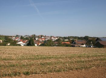 Excursión A pie Höchst im Odenwald - Rundwanderweg Hummetroth 1 : Panorama-Weg - Photo