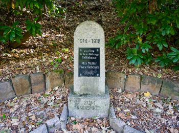 Tour Zu Fuß Kirchberg - Wanderweg Kirchberg Gelb - Photo