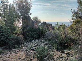 Excursión Senderismo La Ciotat - Sémaphore bec de l'Aigle, la Ciotat, 04-10-23  - Photo