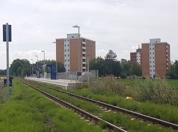 Excursión A pie Jülich - Jülich Rundweg J2 - Photo