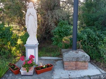 Tour Wandern Acquapendente - CR_Francigena_DK_47_Acquapendente_Bolsena_20230530 - Photo