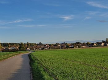 Trail Walking Villiers-le-Mahieu - Villiers le Mahieu - Photo