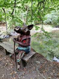 Tocht Stappen Libin - Promenade de la Lesse (8,6km)   - Photo