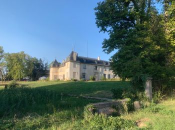 Excursión Senderismo Dorat - Circuit de Lavaur près dans DORAT 63 - Photo