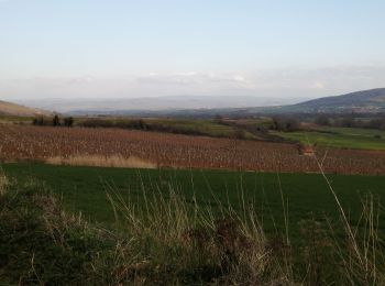 Percorso Marcia Boudes - la vallée des saints  - Photo