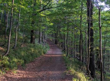 Tour Zu Fuß Košařiska - NS Po stopách salašnictví - Photo