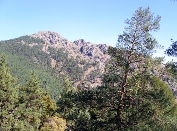 Percorso A piedi San Lorenzo de El Escorial - Senda de los Tesoros de Abantos - Photo