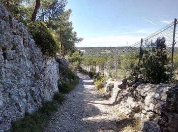 Tour Zu Fuß Martigues - Mer et colline Valestéloué - Photo