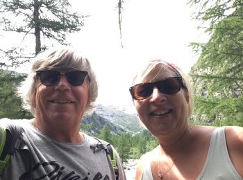 Trail Nordic walking Cogne - Valnontey  - Photo