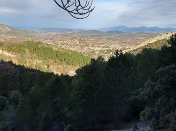 Tour Wandern Malaucène - MALAUCENE  - Photo