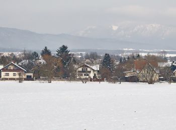 Tour Zu Fuß Gemeinde Natschbach-Loipersbach - Rundwanderwege Natschbach - Loipersbach - Lindgrub NL2 - Photo