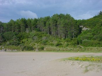 Randonnée A pied Glenties Municipal District - Ards Forest - Green Route - Photo