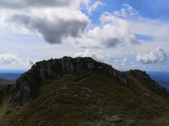 Tocht Stappen Le Claux - Le Peyre Arse depuis le col d'Eylac - Photo