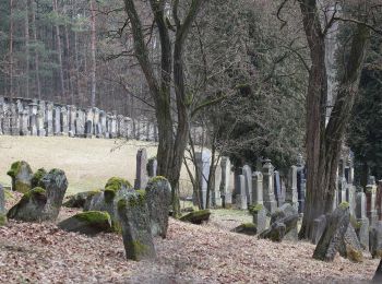 Tour Zu Fuß Burgkunstadt - Räuberpfad - Photo