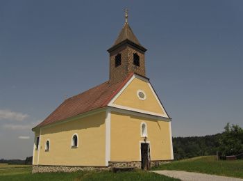 Trail On foot Gemeinde Weitra - Robert-Hamerling-Weg 624 - Photo