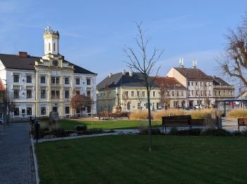 Tour Zu Fuß Zernow - naučná stezka Babiččino údolí - Photo