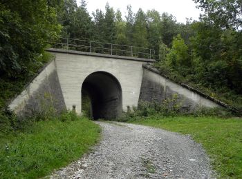 Randonnée A pied Gemeinde Gloggnitz - Gloggnitz - Eichberg - Klamm (Kochhof) - Photo