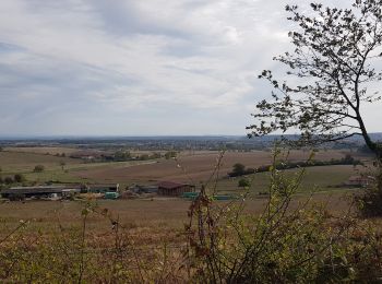 Randonnée V.T.T. Saint-Clément - sortie vtt du 06102018 Haut de la Coye - Photo