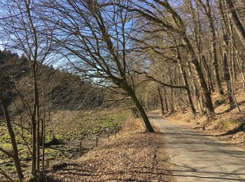 Tour Zu Fuß Bergisch Gladbach - Immekeppel Rundweg A3 - Photo