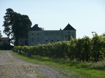 Tour Zu Fuß Gennes-Val-de-Loire - Circuit de Randonnée Pédestre PDIPR 'Entre Vigne et Forêt' - Photo