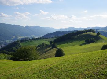 Tour Zu Fuß Holderbank (SO) - Bereten Linde - Holderbank - Photo