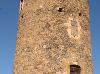 Excursión Senderismo Tarascon-sur-Ariège - foire de la St Michel tarascon sur Ariège  - Photo