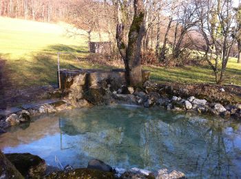 Trail On foot Wettingen - Mooshalden - Eggetsacher - Photo