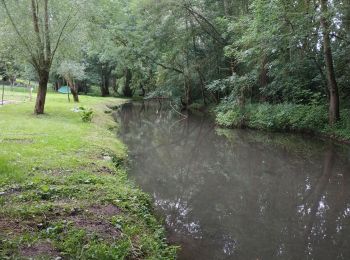 Trail Walking Tavers - Tavers - Lestiou - Photo