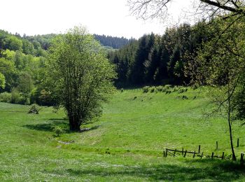 Tocht Te voet Meschede - Oesterberge Rundweg A6 - Photo