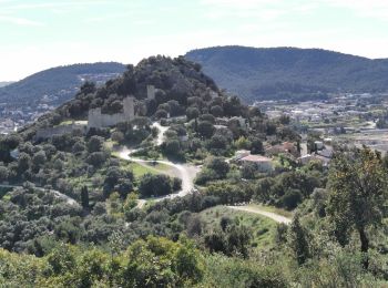 Tocht Stappen La Crau - Chapelle du Fenouillet & Château de Hyères - Photo