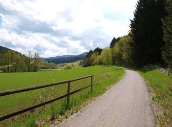 Excursión A pie Rattenberg - Hammersdorfer Rundweg (Rattenberger Wanderweg 6) - Photo