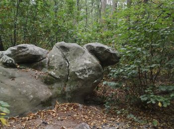 Tour Wandern Vert-Saint-Denis - breviande  - Photo