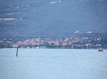 Excursión A pie Tuoro sul Trasimeno - Borgo Torale-Pischiello-Poggio Bandito-Convento Cappuccini - Photo