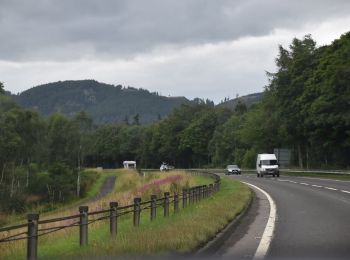 Randonnée A pied  - Birnam Riverside Path - Photo