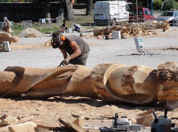 Randonnée A pied Mirecourt - Sentier des Luthiers et des Dentellières - Photo