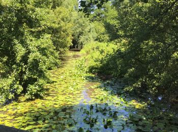 Tour Wandern Sion-les-Mines - 09.07.2019 - de SION les MINES à ST AUBIN DES CHÂTEAUX  - Photo