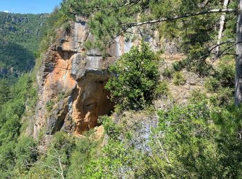 Tour Wandern Trèves - Trêves via Dourbies - Photo