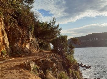 Tocht Stappen Saint-Jean-Cap-Ferrat - mon petit tour st jean cap ferrat - Photo