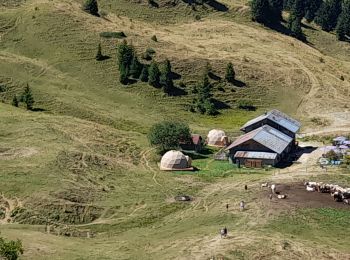 Excursión Senderismo La Roche-sur-Foron - GLIERES / BORNES: COL DU COU - CHALET DE BALME - Photo