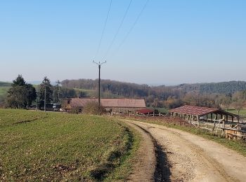 Trail Walking Rosoy - La Charbonnière 230214 - Photo