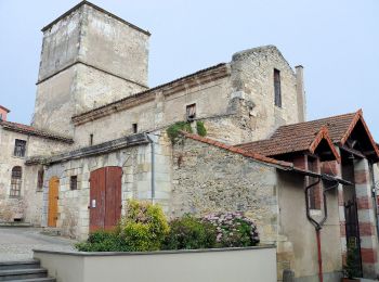 Percorso A piedi Chauriat - Les Coteaux de Chauriat - Photo