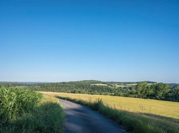 Excursión A pie Mistelgau - Obernsees Rundwanderweg 