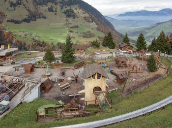 Excursión A pie Dallenwil - Wirzweli - Gummenalp - Photo