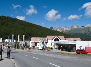 Tour Zu Fuß Pontresina - Puntraschigna - Roseg - Photo