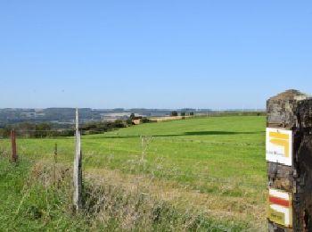 Percorso Marcia Matringhem - Matringhem (62) - Les Monts - Photo