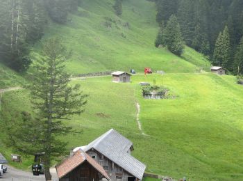 Randonnée A pied Unterägeri - Urzlenboden - Geissfaren - Photo